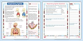 Seventh Grade Respiratory System Reading Comprehension