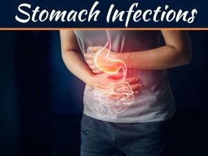 Stomach Wall Poster Understanding the Stomach Poster Wall|Clinic Poster ...