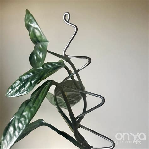Steel Zig Zag Plant Stick, Decorative Plant Stake - On Ya Garden