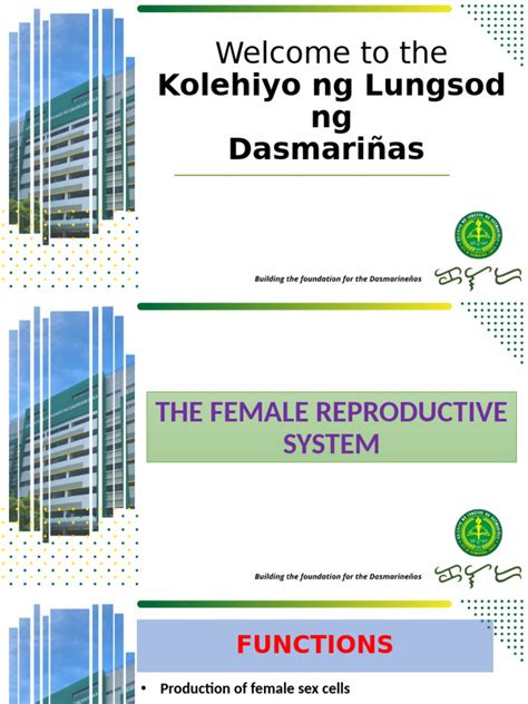 Image result for DepEd Module Female