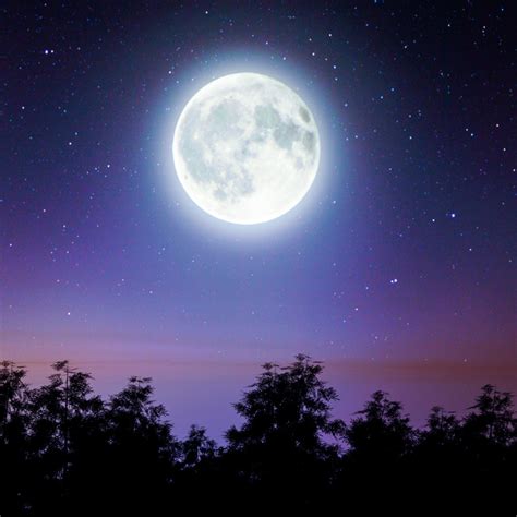 Image result for Moon Pool Tutorial Minecraft