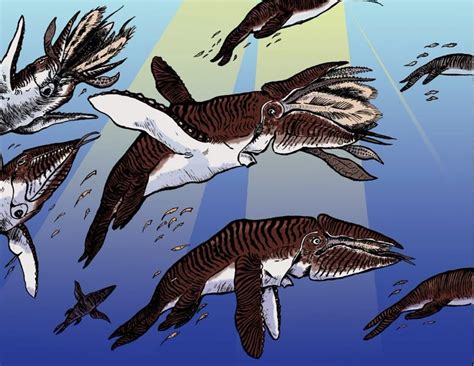 Alien Bird Evolution 的图像结果