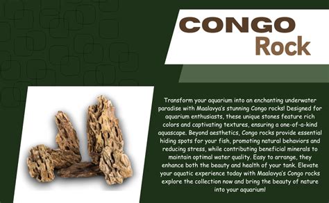 Maalavya Congo Rock Rocks for Aquarium Decoration Garden Decor Etc. (3 ...