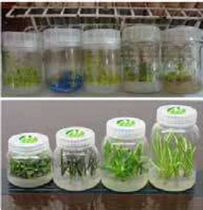 Laboratories | Daulat Ram College