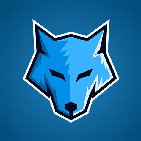 Image result for How to Install Laby Mod