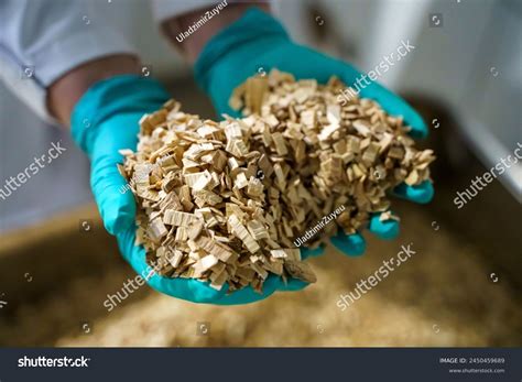 Smoking Wood Shavings Flavor Smoking Food Stock Photo 2450459689 ...