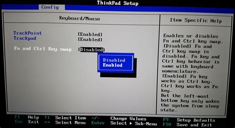 Image result for ThinkPad Function Keys