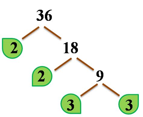 Image result for Math Factor Tree