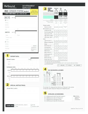 Fillable Online RIC bORDER FORMb Aventa 3 - bReSoundb Fax Email Print ...