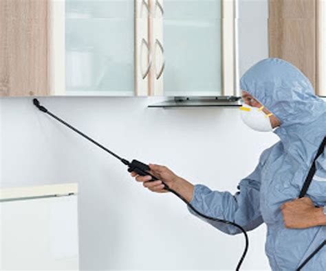 Best pest control in Koramangala|Marathahalli|bangalore|Whitefield ...