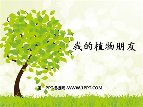 《我的植物朋友》PPT优秀课件 - 第一PPT