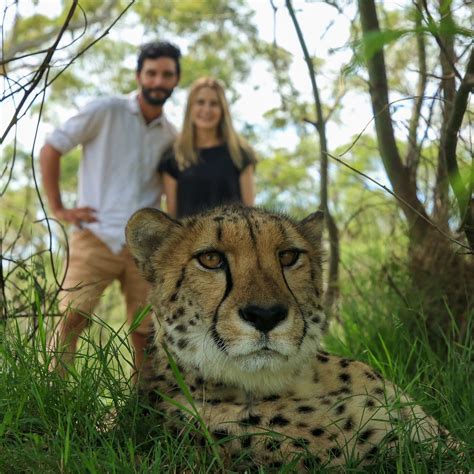 WILD CAT CONSERVATION CENTRE (2026) All You Need to Know BEFORE You Go ...