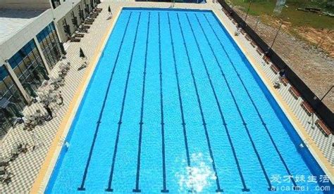 修建游泳池多少钱一平方 最低50万元 - 神奇评测