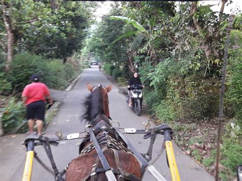 Candirejo Village (Borobudur) - All You Need to Know BEFORE You Go