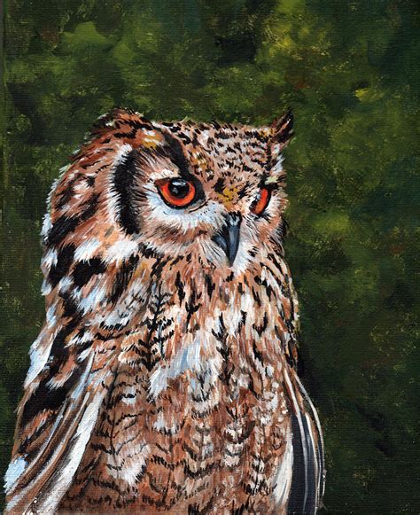 The owl Painting by Judy O'Hara - Pixels