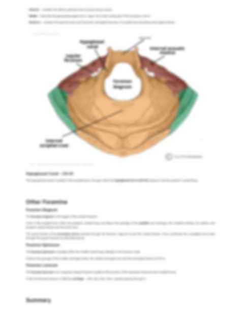 SOLUTION: Cranial foramina foramen ovale skull teachmeanatomy - Studypool