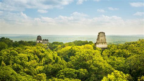 Bing Visual Search Wallpaper 的图像结果