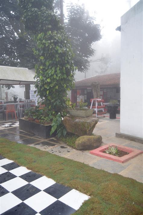 SWEET RASCAL, Yercaud - Restaurant Reviews, Phone Number & Photos ...
