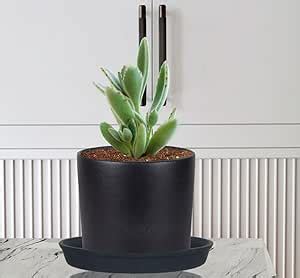 Lasaki Sara 4 inch black with plate black R5 Ceramic Pots for Indoor ...