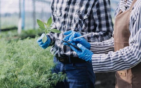 Food Waste Plant Sampling 的图像结果