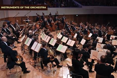 Orchestra String Instruments 的图像结果