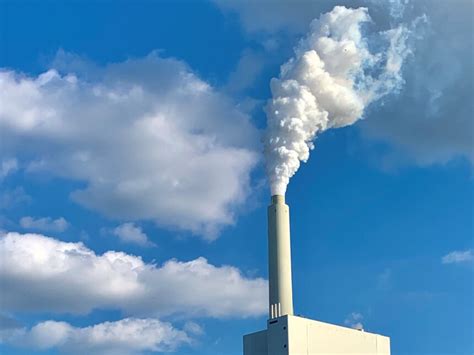 Transformando empresas através de ESG | Meer