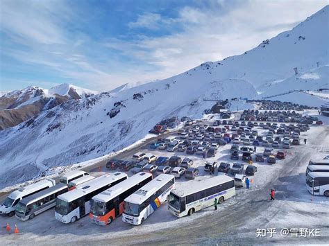 新西兰滑雪 的图像结果