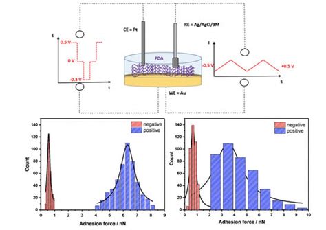 Physicochemical and Electrochemical Characterization of ...