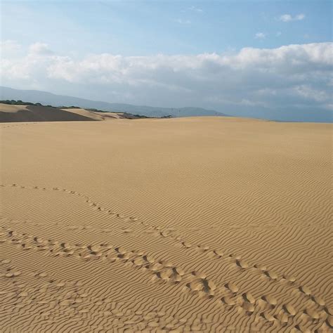 2025年 Los Medanos de Coro - 出発前に知っておくべきことすべて - トリップアドバイザー
