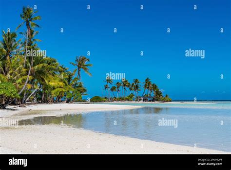 Image result for Python Learning Code
