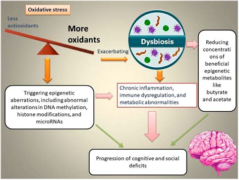 Oxidative Stress–Microbiota–Epigenetics Crosstalk: A Missing Link ...