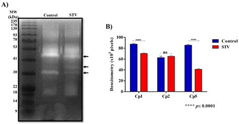 Effect of Stevioside (Stevia rebaudiana) on Entamoeba histolytica ...