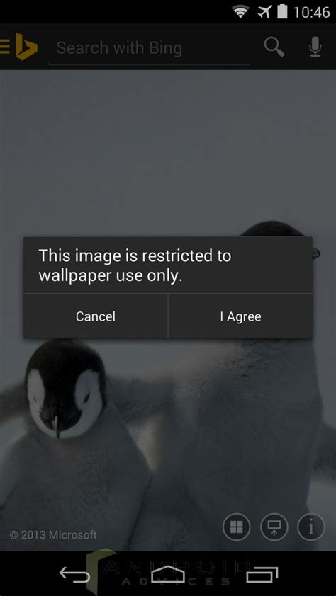 Bing Android Video Full Screen 的图像结果