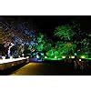 Nortek Hydra 5W Green LED Garden Lights | Adjustable Spike Lights for ...