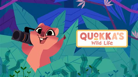 Quokka's Wild Life News & Blog | Angel