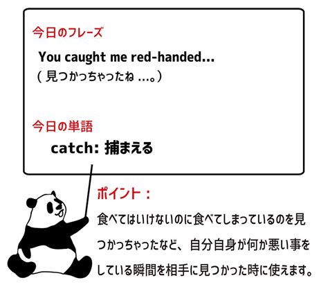 catch someone red-handedの意味と使い方 | eigo-lab(えいご研）