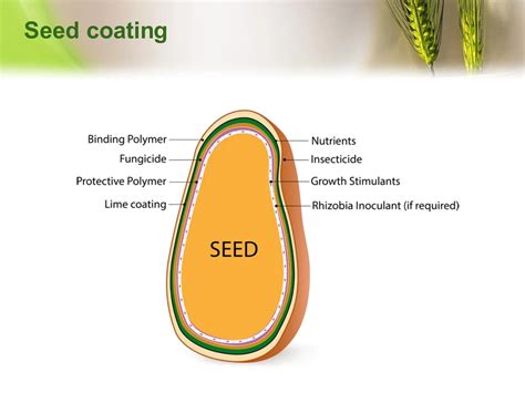 Seed Coating Formula 的图像结果
