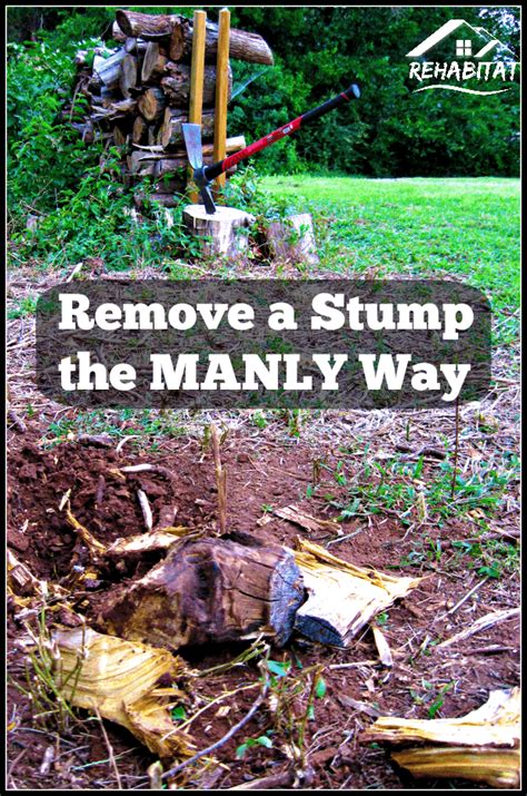 Tree Stump Removal Tricks 的图像结果