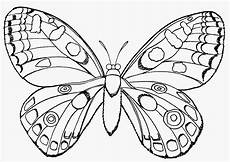 ausmalbilder tiere schmetterling die besten 20 schmetterlinge ausmalbilder malvorlagen ausmalbilder tiere schmetterling die besten 20 schmetterlinge ausmalbilder malvorlagen