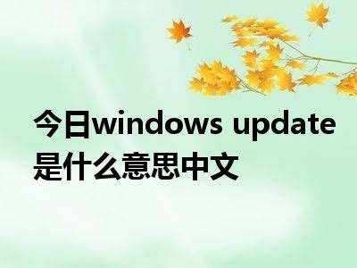 今日windows update是什么意思中文_一天资讯网