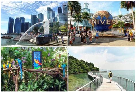 新加坡留学既能补贴学费还能留新工作，竟有这等好事？ - 知乎