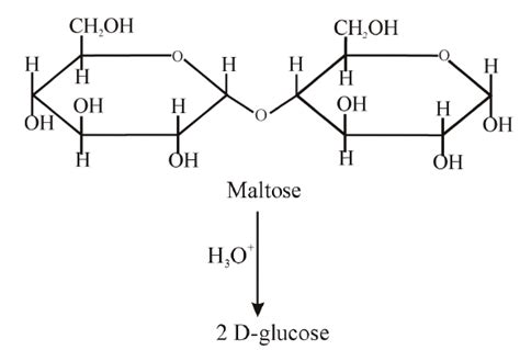 Maltose on treatment with dilute HCI gives : - Tardigrade