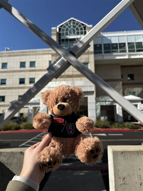 Image result for WCF Insurance Logo