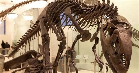 99% Of Life Died A Billion Years Before Dinosaurs, Due To A Previously ...