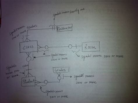 Entity 的图像结果