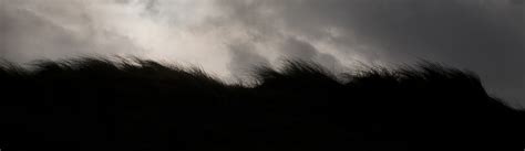 Films to explore LIM² to find meaning | LE GROUPE OUEST