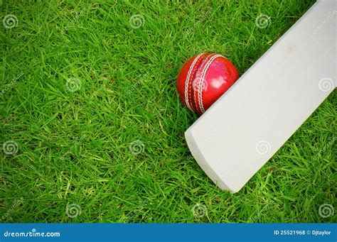 Cricket bat and ball stock photo. Image of leather, outside - 25521968