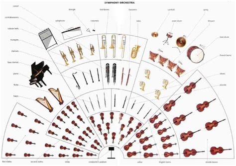 Image result for Orchestra Sections