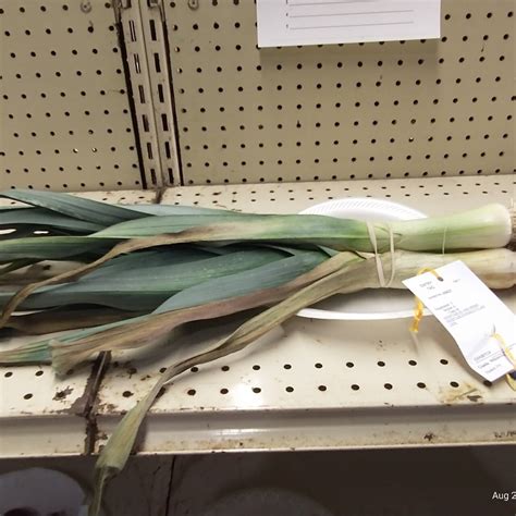 THE BEST Places to Visit in Pleasant Unity (2025)