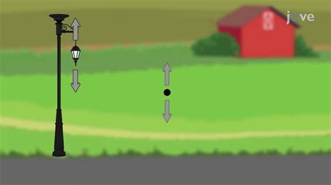 Video: Free Body Diagrams: Examples